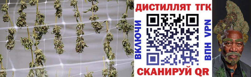мега вход  Балаково  Дистиллят ТГК гашишное масло  наркошоп 
